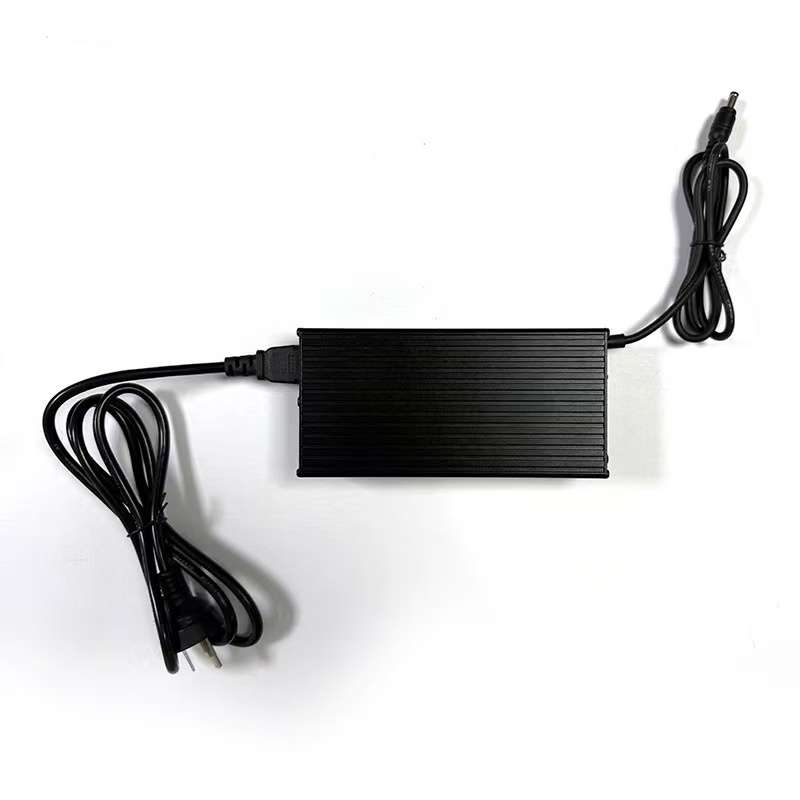 ZIPR Fast Charger 6A — rapid 2-hour charge, replacement or additional charger